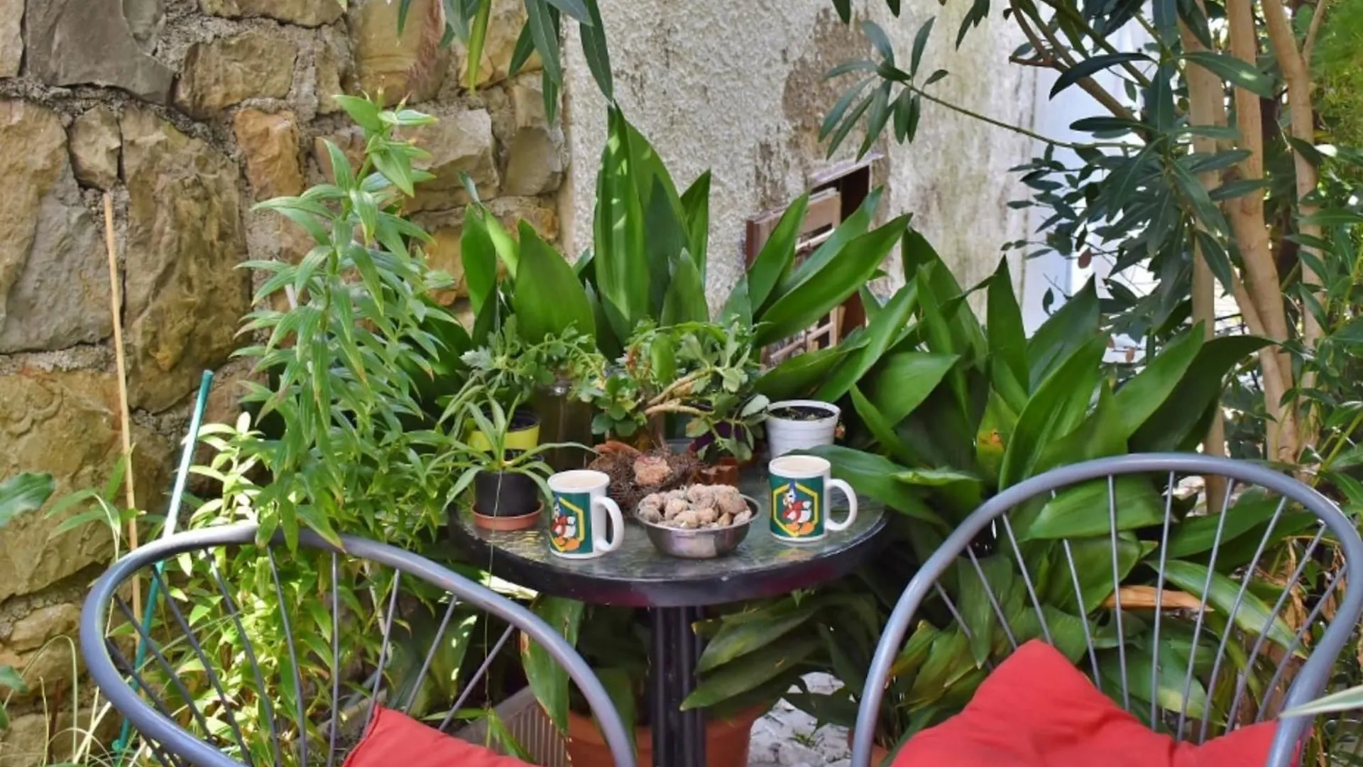 Apartments Jug - Studio Apartment With Private Garden Lopar Croatia